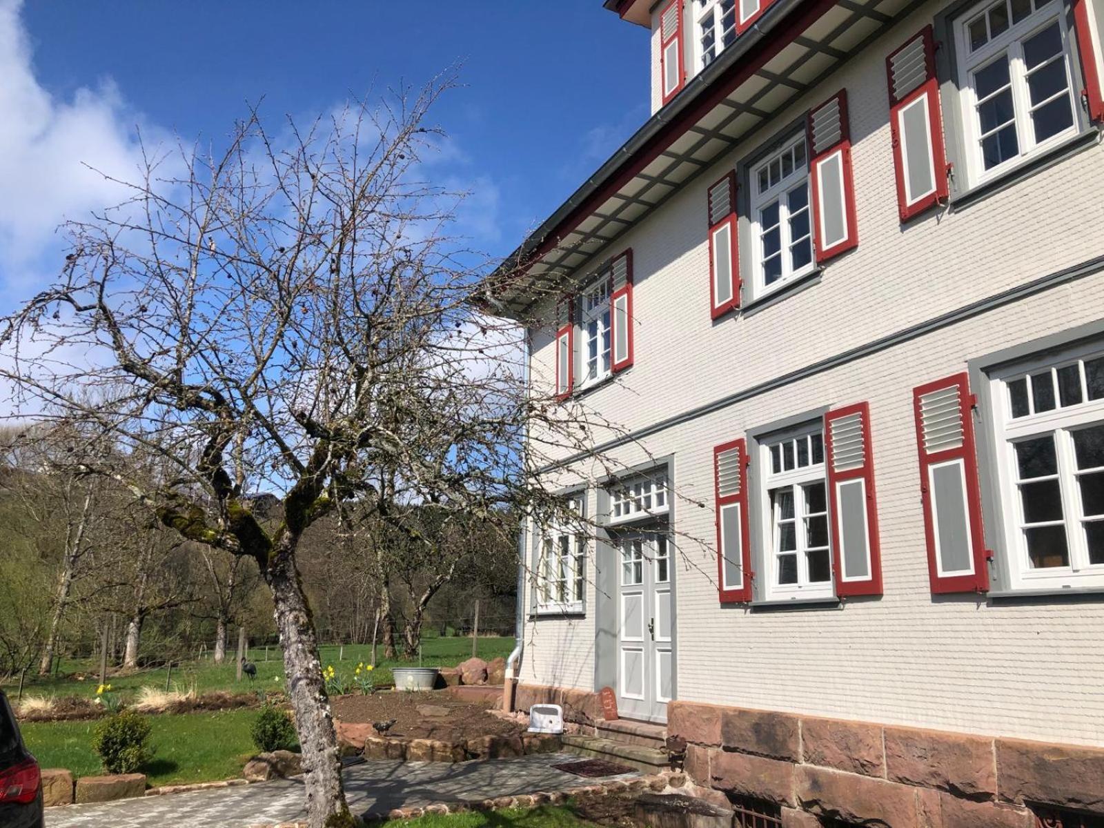 Ferienwohnung Am Stockerbach Freudenstadt Luaran gambar